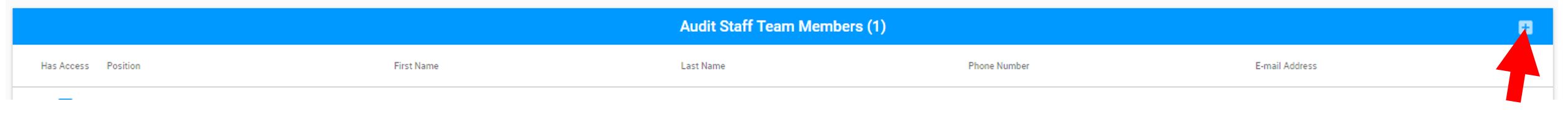 audit_staff_add.JPG